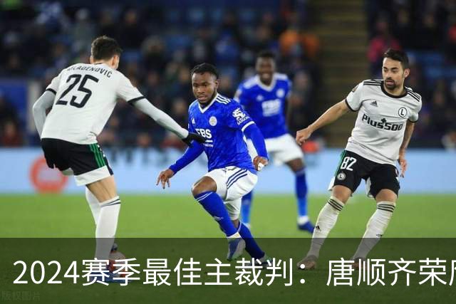 2024赛季最佳主裁判：唐顺齐荣膺金哨 马宁铜哨